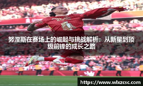 努涅斯在赛场上的崛起与挑战解析：从新星到顶级前锋的成长之路